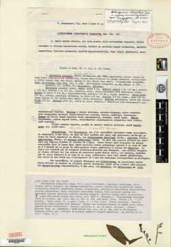 Thumbnail image of sheet