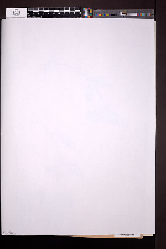 Thumbnail image of sheet